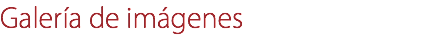 Galería de imágenes